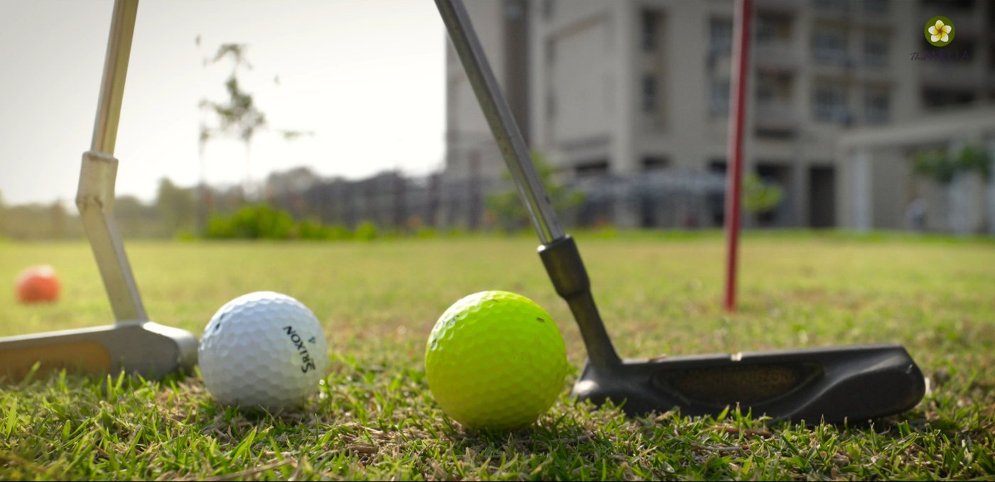 Golf Putting Green